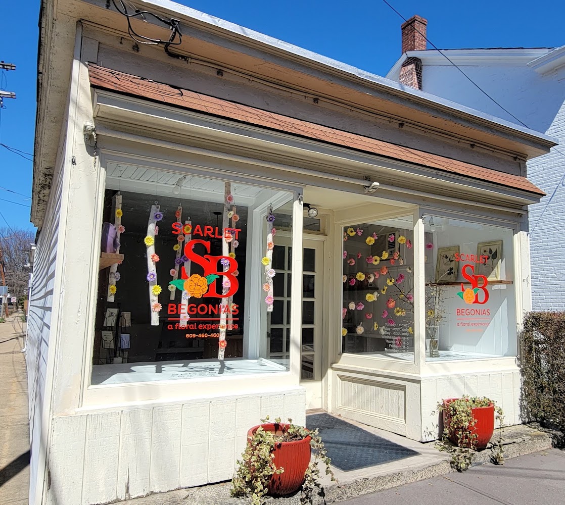 Scarlet Begonias, A Floral Experience
