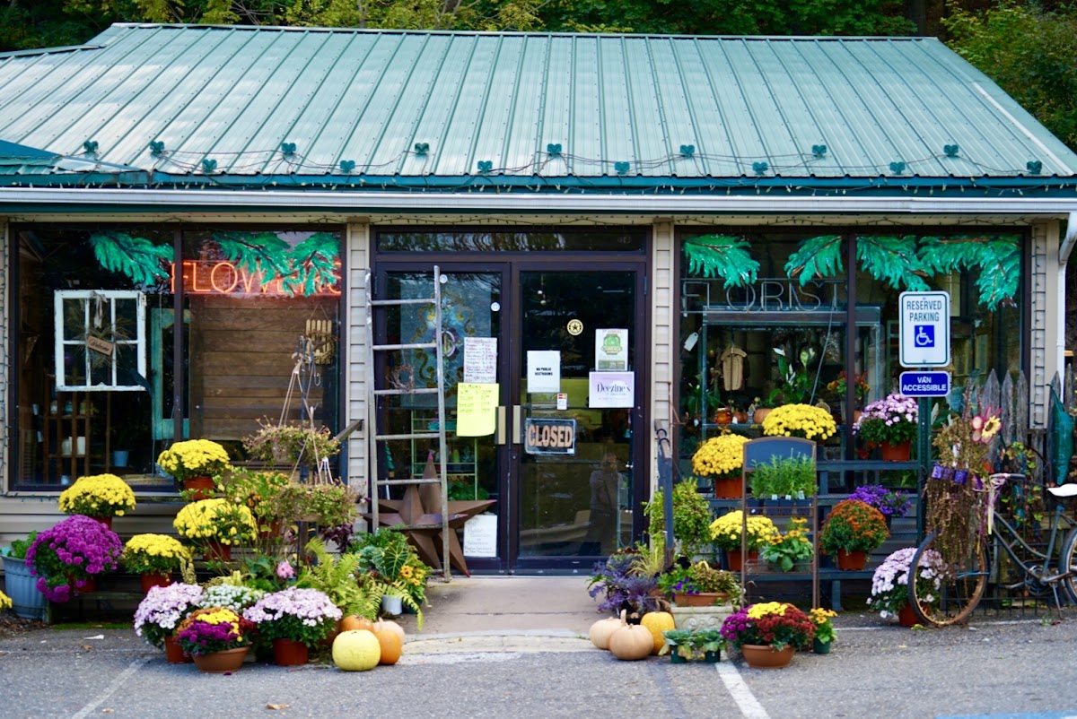 Dee Zines Flowers & Gifts