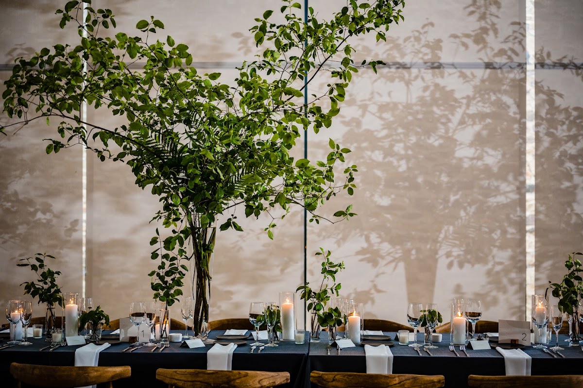 Branches and Blooms Design