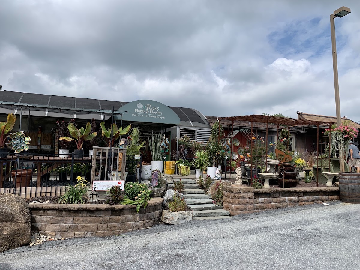 Ross Plants & Flowers