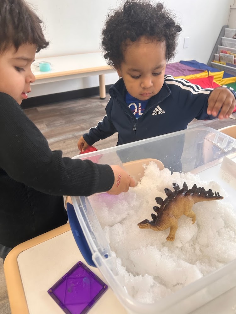 TeddyKids Bilingual Daycare