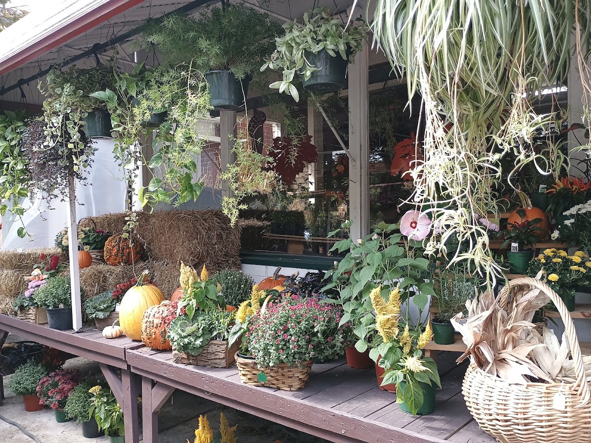 East End Market Tamaqua