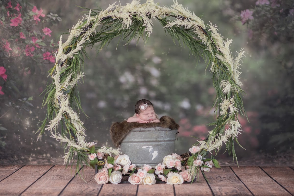 Amanda Louise Photography