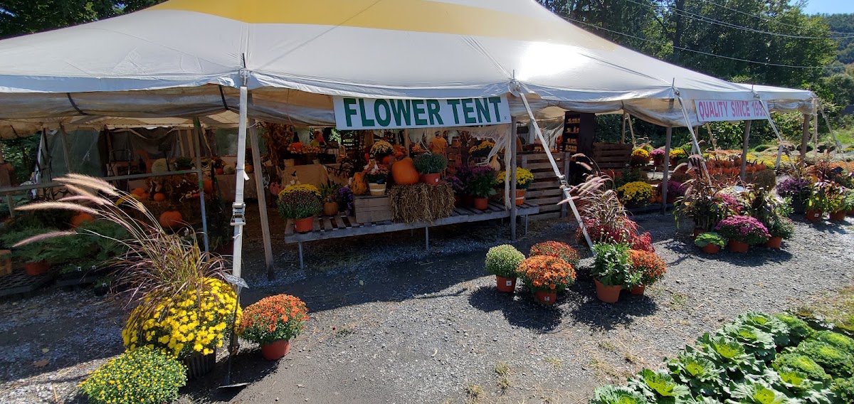 Flower Tent