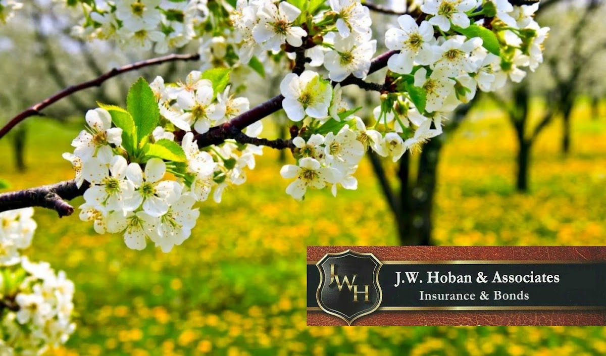 J.W. Hoban & Associates