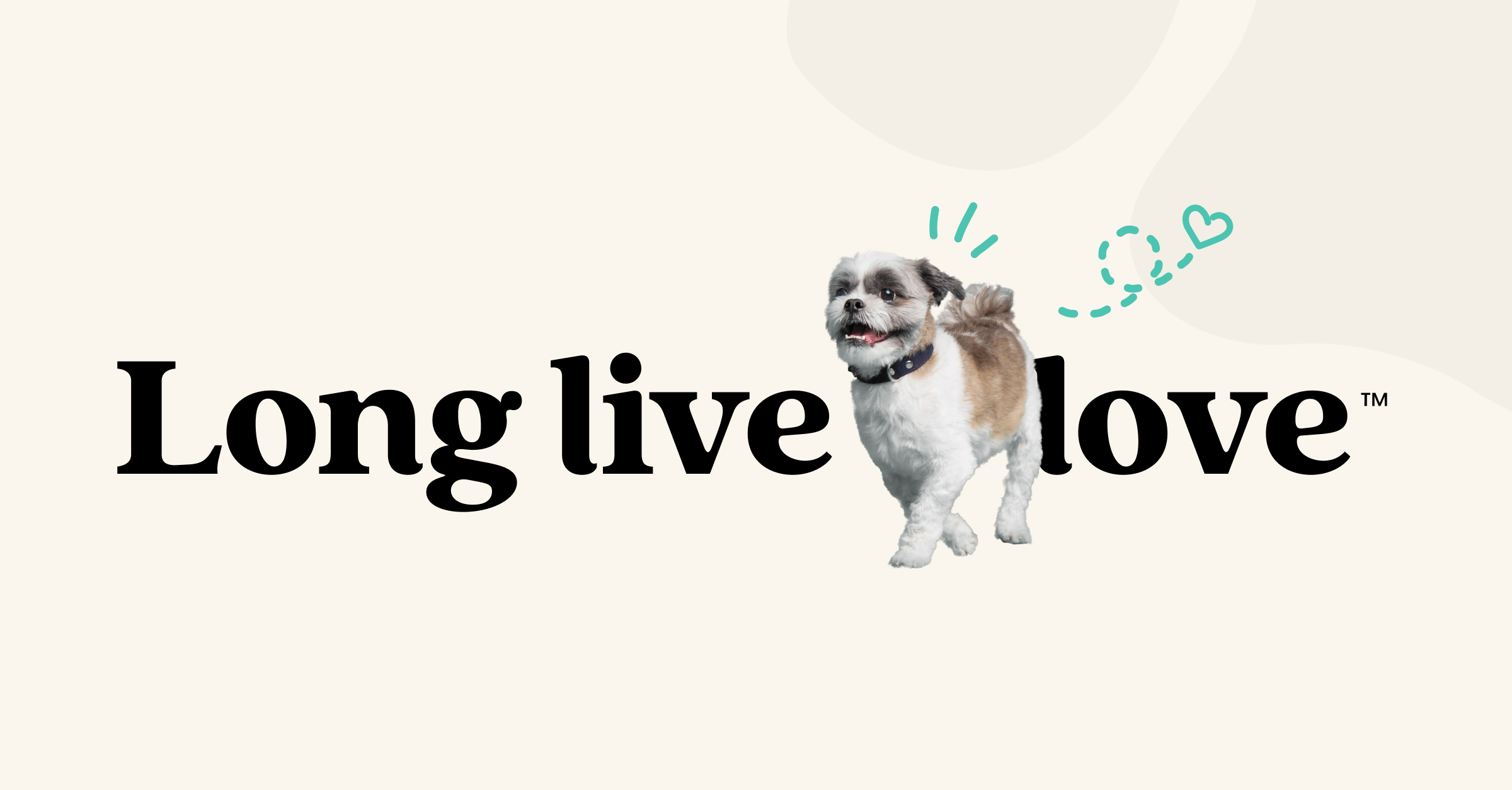 Fetch Pet Insurance