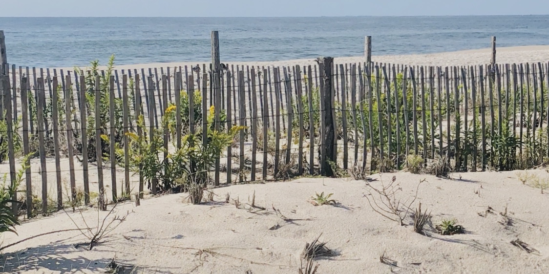 South Jersey Appraisal Associates, LLC