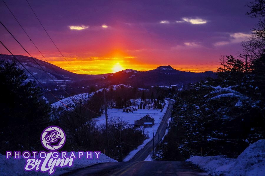 Photography By Lynn