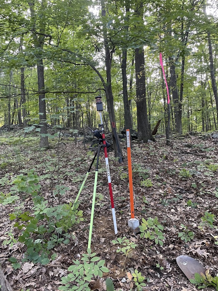 Pilny Surveying LLC