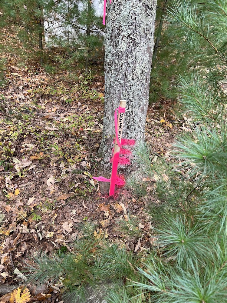 Trout Creek llc, Professional Land Surveying Services